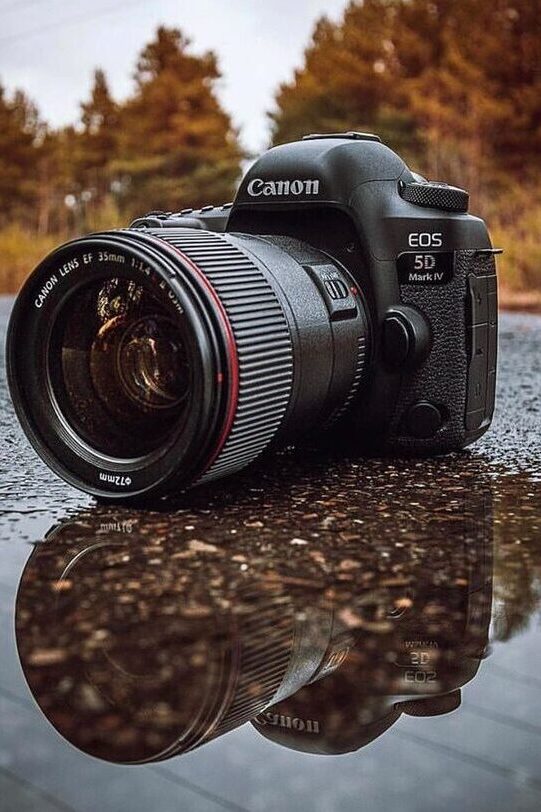 a camera on the ground with out of focus evergreen trees in the background and a pebble-filled puddle in the foreground. 
